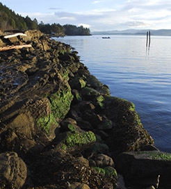 Galiano Island