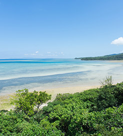 Isla de Iriomote